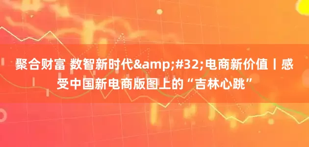 聚合财富 数智新时代&#32;电商新价值丨感受中国新电商版图上的“吉林心跳”