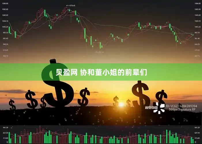 贝盈网 协和董小姐的前辈们