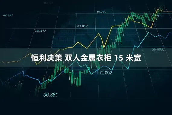 恒利决策 双人金属衣柜 15 米宽